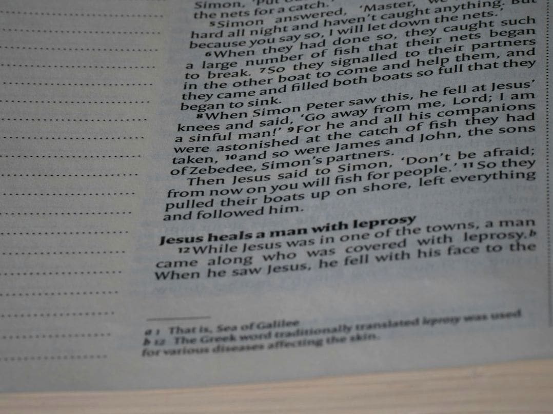 Harbor English 1