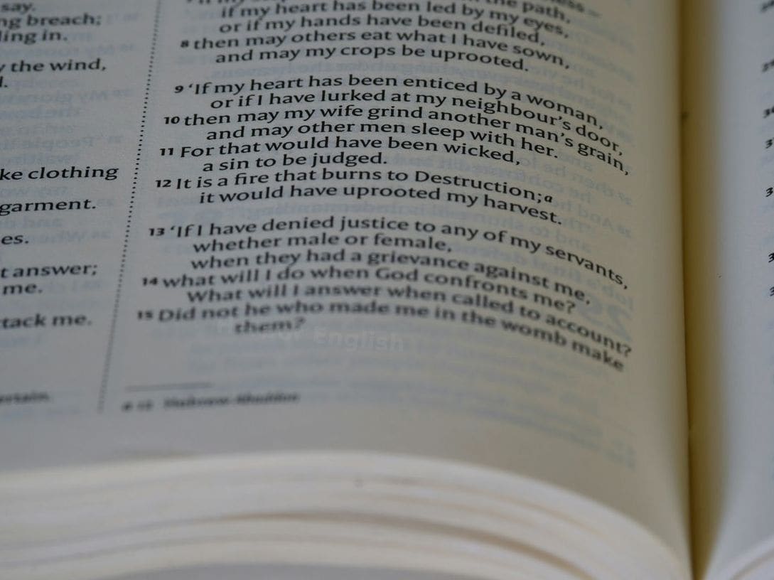Harbor English 10