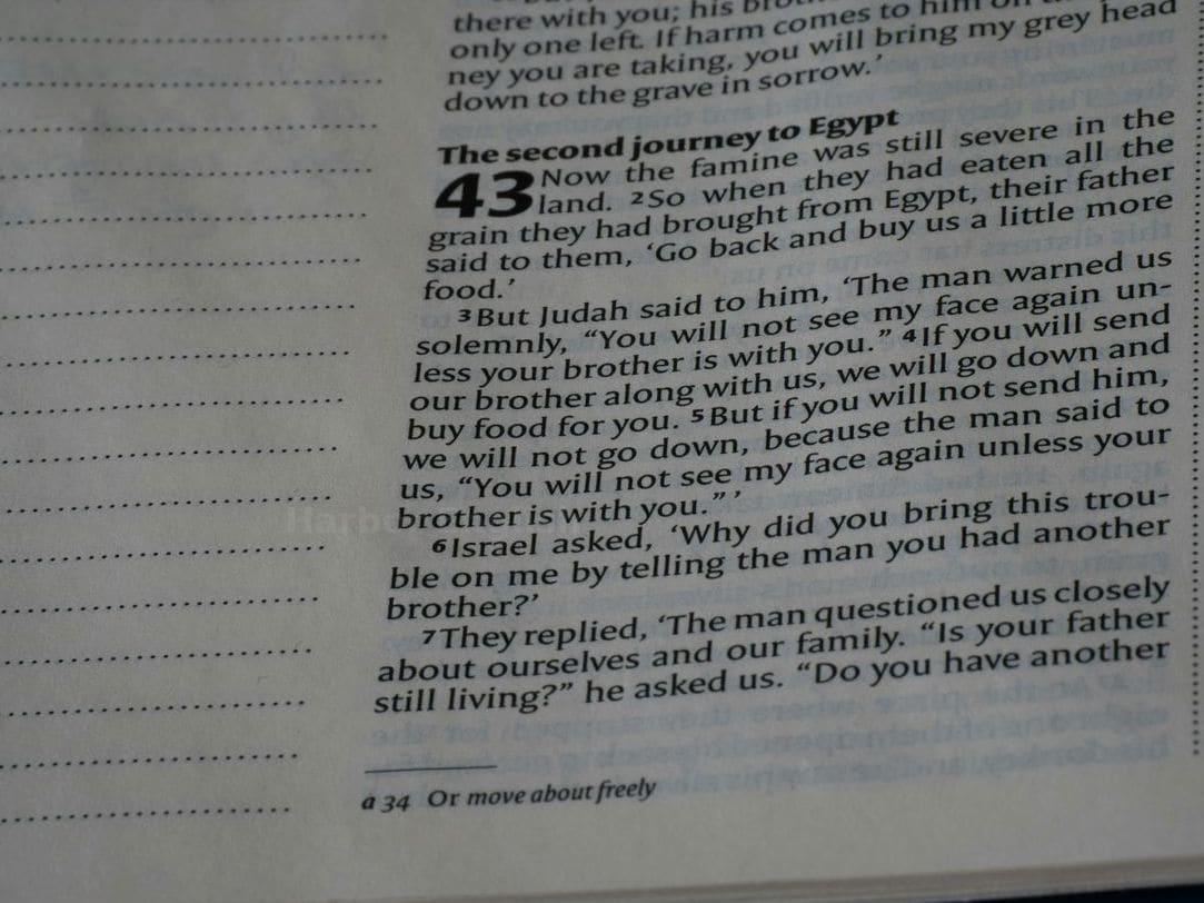 Harbor English 11