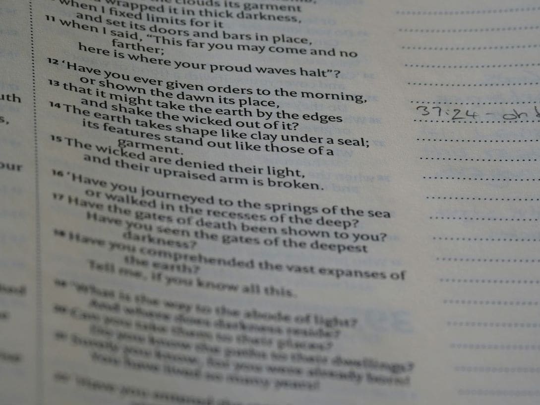 Harbor English 12