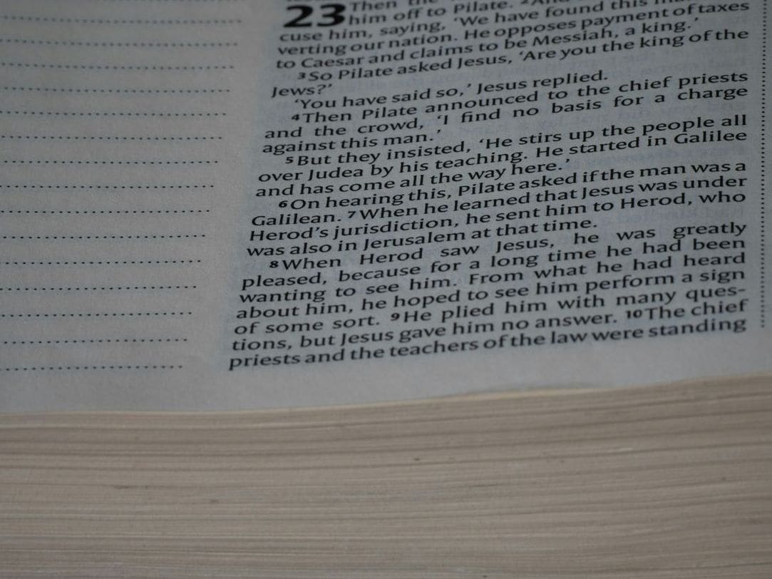 Harbor English 14