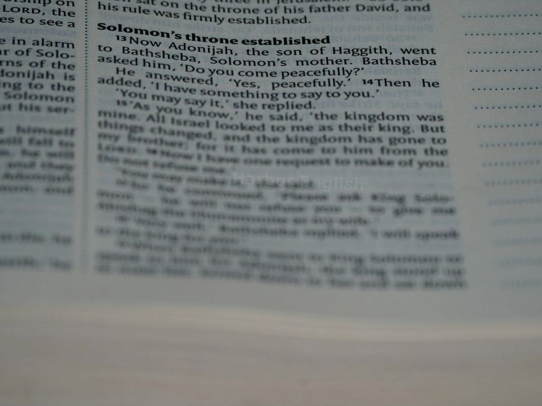 Harbor English 15