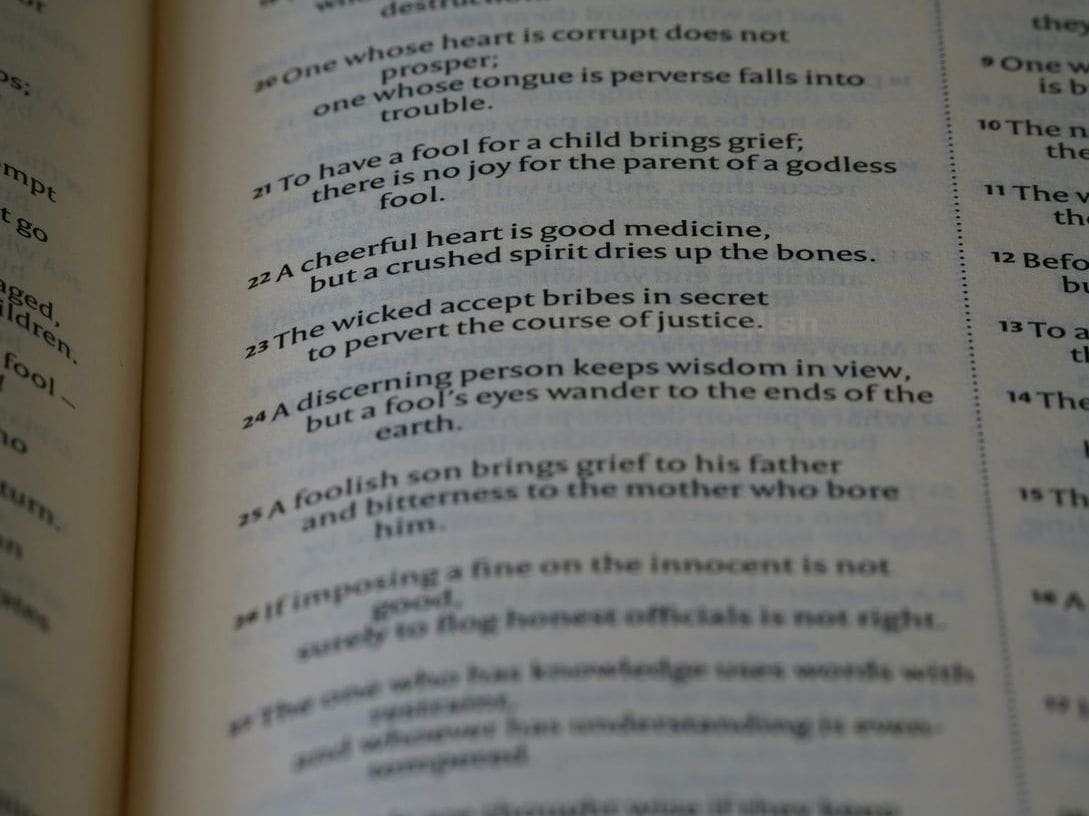 Harbor English 4