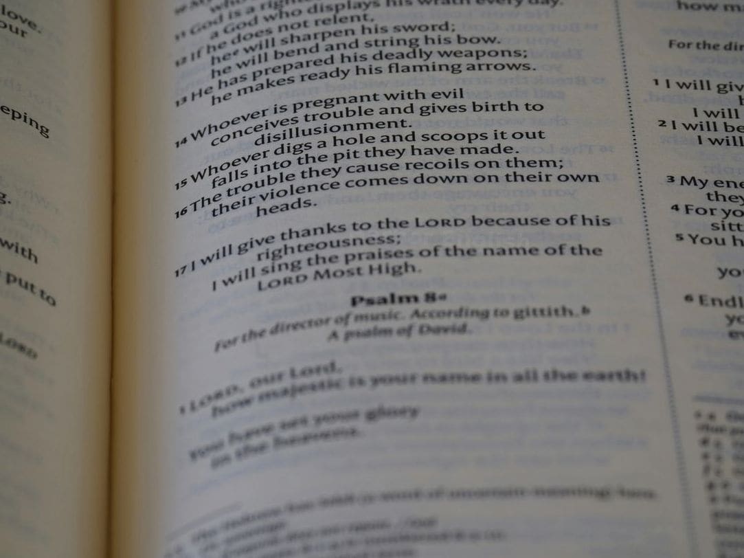 Harbor English 5